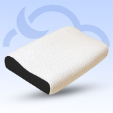 Contour Neck Pillow